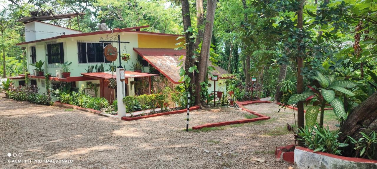 Casa Hadassa La Canada Hotel Palenque Exterior photo