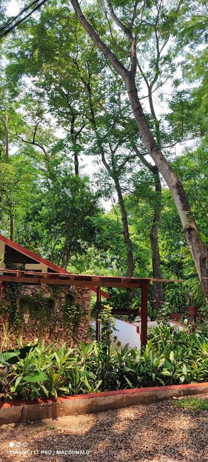 Casa Hadassa La Canada Hotel Palenque Exterior photo